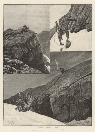 Après le Mouflon des Montagnes Rocheuses - Richard Caton Woodville junior